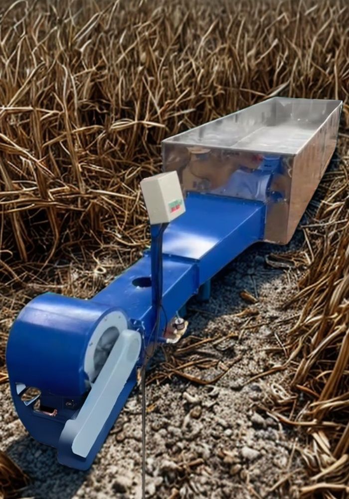 Diseño sin título (2)