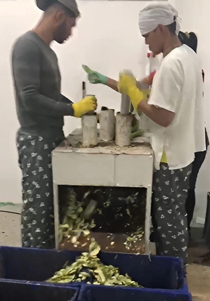 Diseño sin título (5)